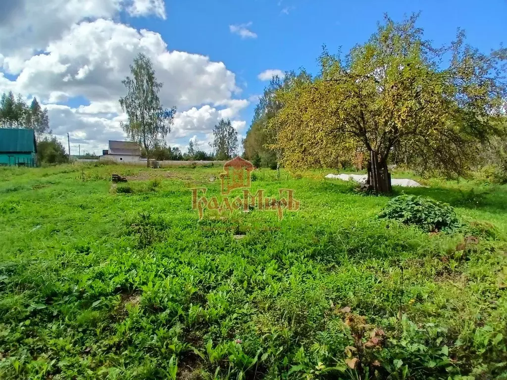 Участок в Владимирская область, Александров Искож-1 СНТ, 6 (12.0 сот.) - Фото 1
