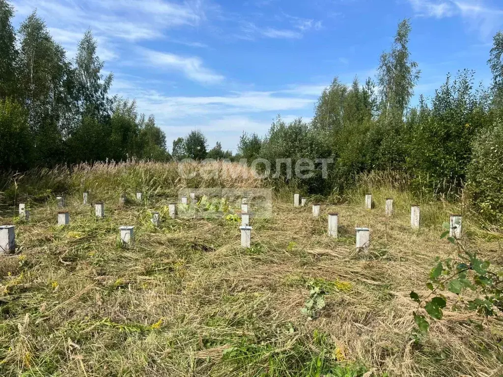 Участок в Ивановская область, Ивановский район, Новоталицкое с/пос, д. ... - Фото 1