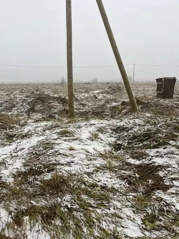 Участок в Ленинградская область, Ломоносовский район, Оржицкое с/пос, ... - Фото 2