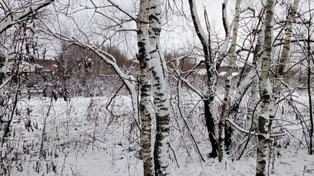 Участок в Московская область, Егорьевск муниципальный округ, д. Панино ... - Фото 0