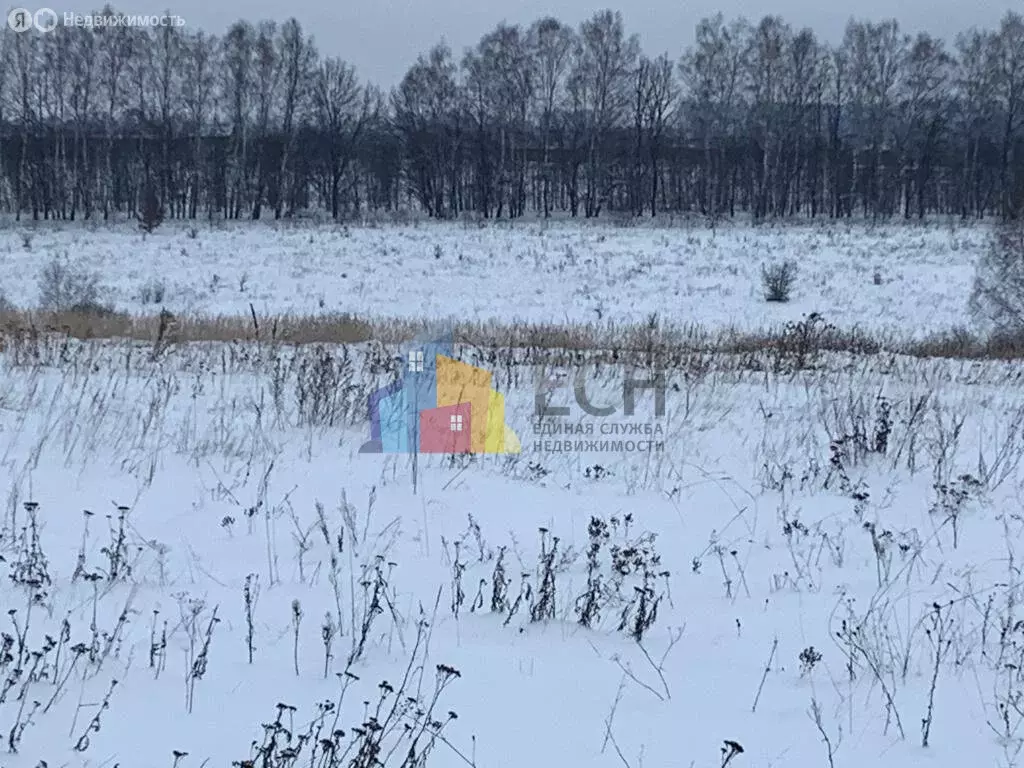 Участок в Тульская область, городской округ Тула, посёлок Рассвет (12 ... - Фото 1