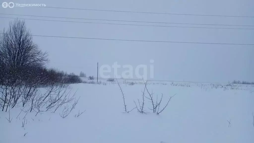 Участок в Республика Мордовия, городской округ Саранск, рабочий ... - Фото 1