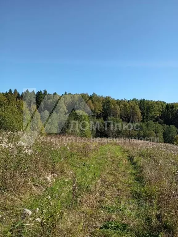 Участок в Вологодская область, Грязовецкий муниципальный округ, с. ... - Фото 1