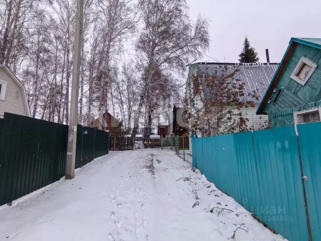 Участок в Новосибирская область, Коченевский район, Недра садовое ... - Фото 2