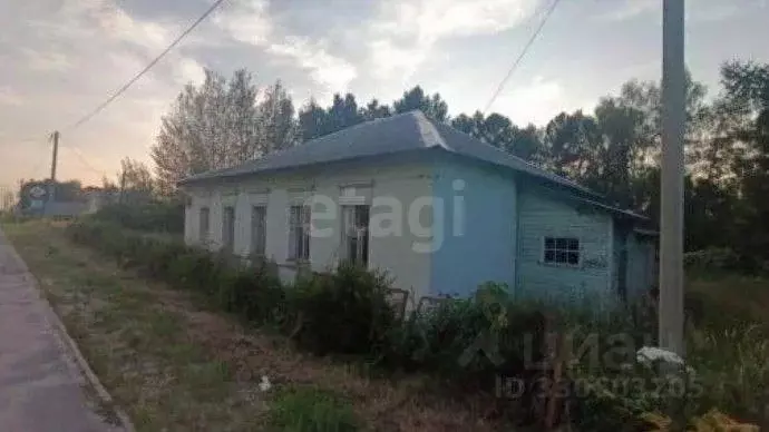 Помещение свободного назначения в Ярославская область, Некрасовский ... - Фото 1