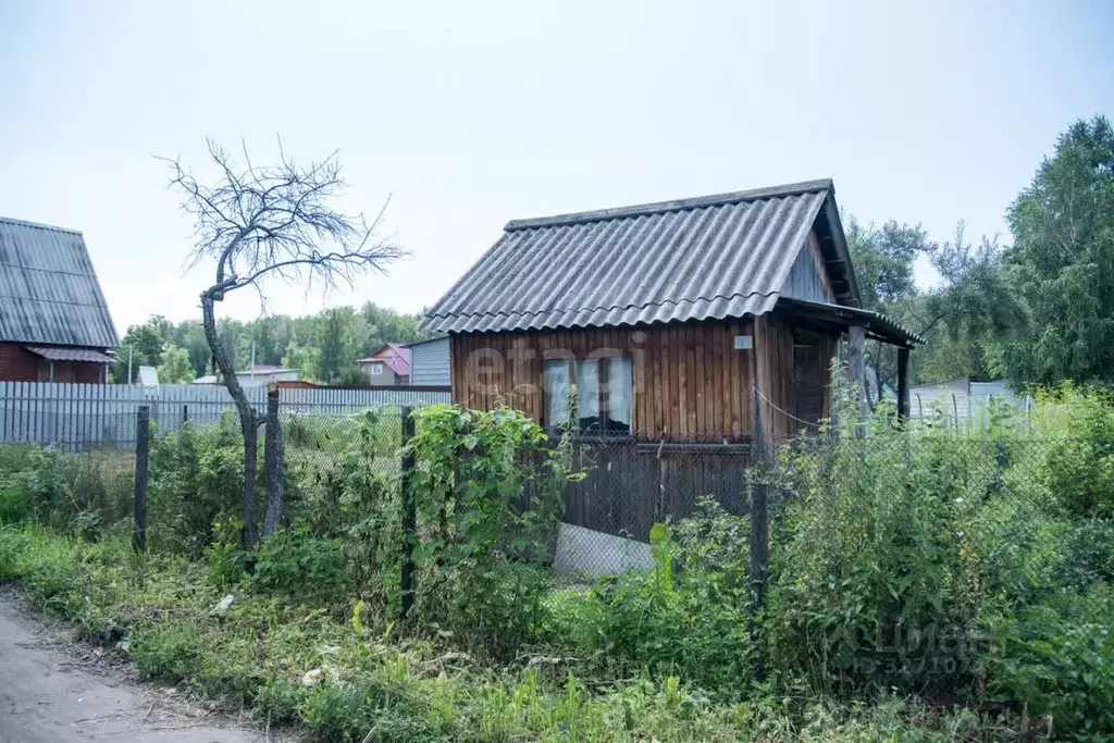 Участок в Новосибирская область, Бердск Ветеран садовое товарищество, ... - Фото 1