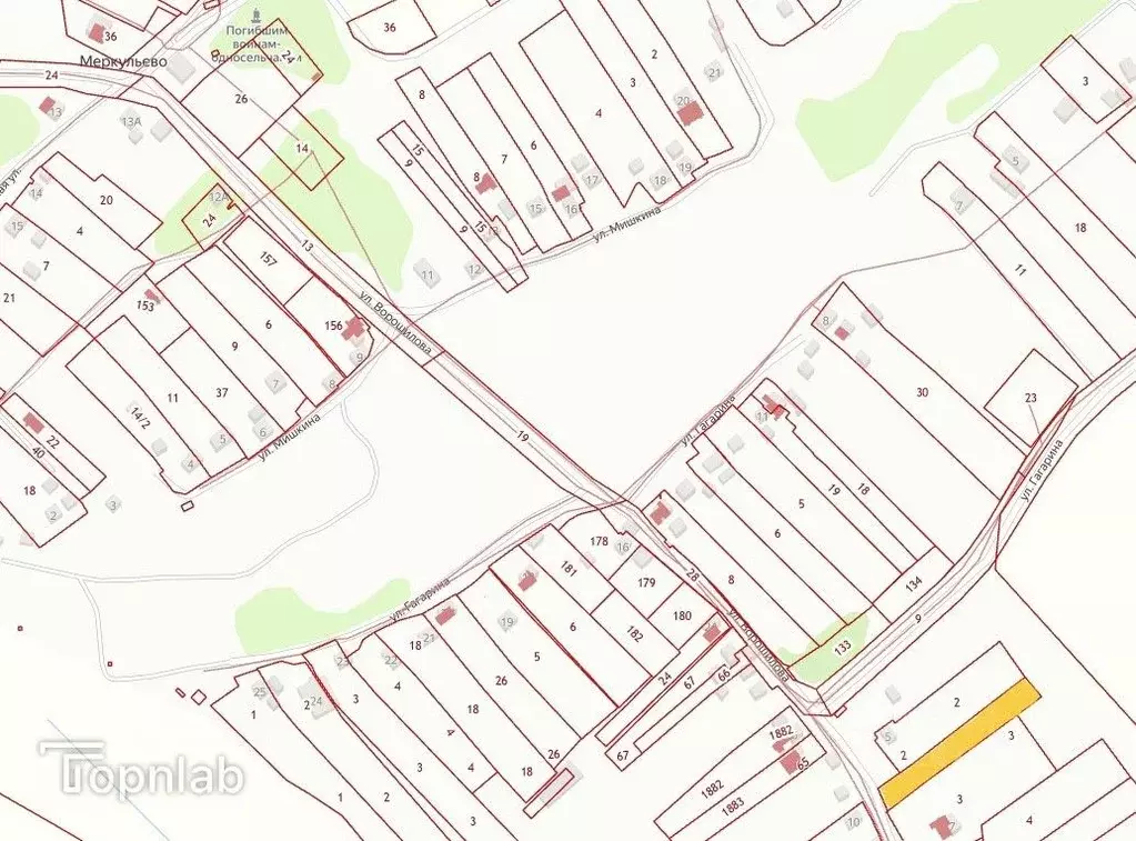 Участок в Брянская область, Брянский район, Мичуринское с/пос, д. ... - Фото 1