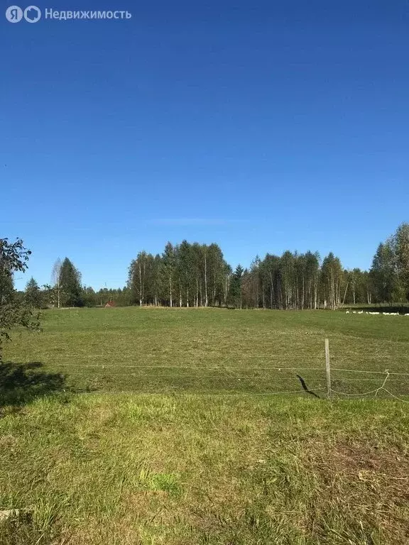 Участок в Республика Марий Эл, Килемарский муниципальный округ, ... - Фото 1