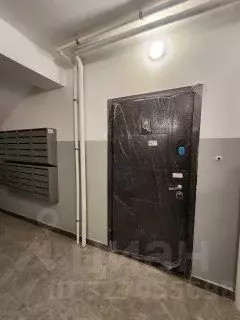 1-к кв. Амурская область, Благовещенский район, с. Чигири ул. ... - Фото 2