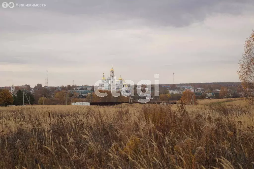 Участок в Нижегородская область, село Дивеево (9 м) - Фото 1