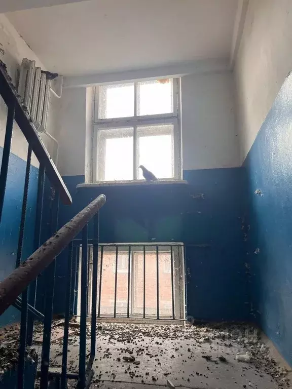 Помещение свободного назначения в Ростовская область, Таганрог ... - Фото 1