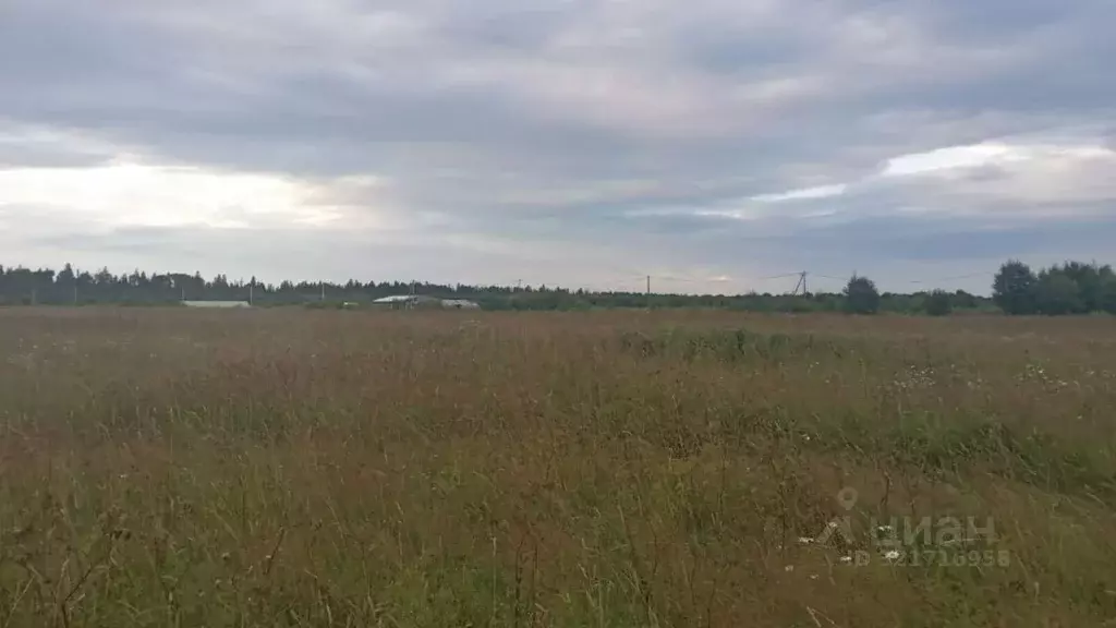 Участок в Ленинградская область, Волосовский район, Клопицкое с/пос, ... - Фото 1