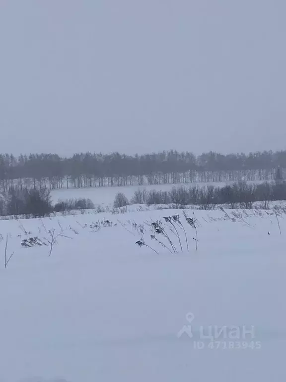 Участок в Нижегородская область, Кстовский муниципальный округ, с. ... - Фото 0