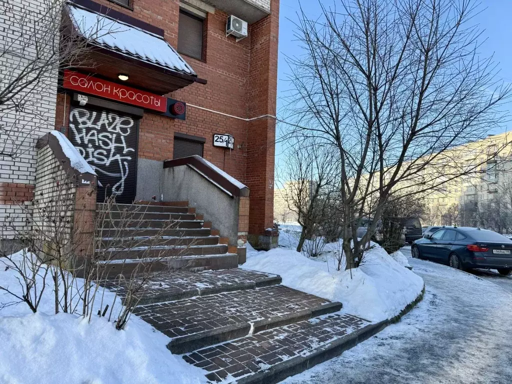 Помещение свободного назначения в Санкт-Петербург ул. Турку, 25 (73 м) - Фото 1