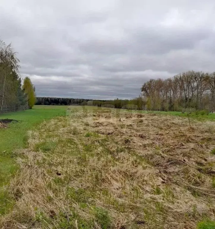 Участок в Костромская область, Нерехта ул. Фадеева (10.0 сот.) - Фото 1