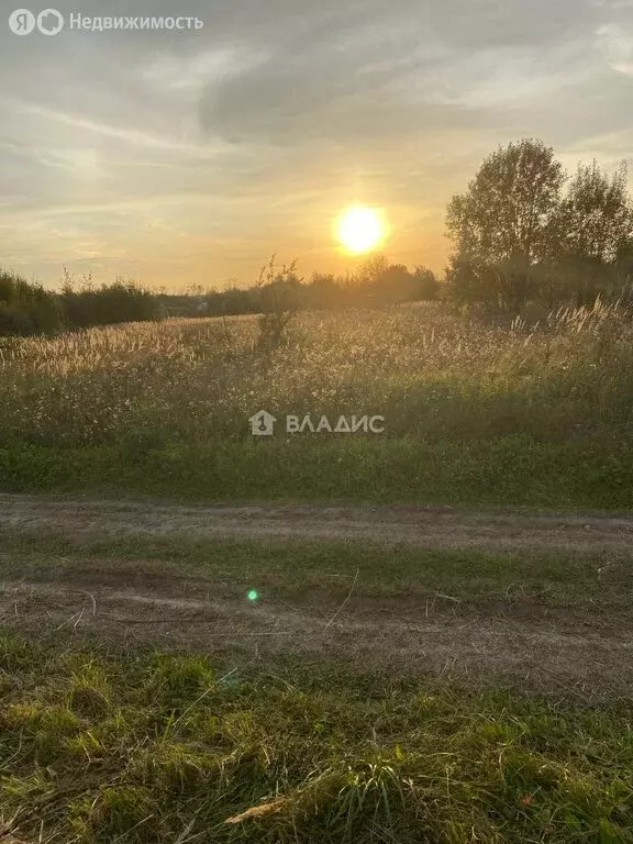Участок в Луховицы, садовое товарищество Омега (6 м) - Фото 2