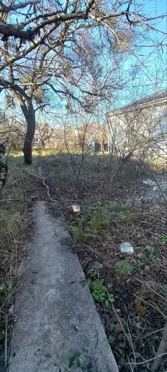Участок в Крым, Симферополь пл. Ленина (3.0 сот.) - Фото 1