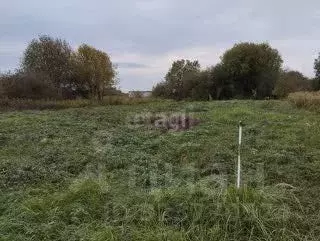 Участок в Калининградская область, Гурьевский муниципальный округ, ... - Фото 1