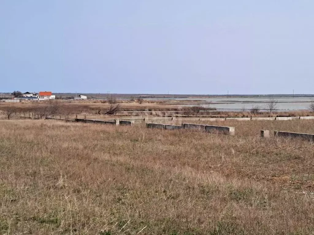 Участок в Крым, Черноморский район, с. Межводное ш. Черноморское (20.0 ... - Фото 1