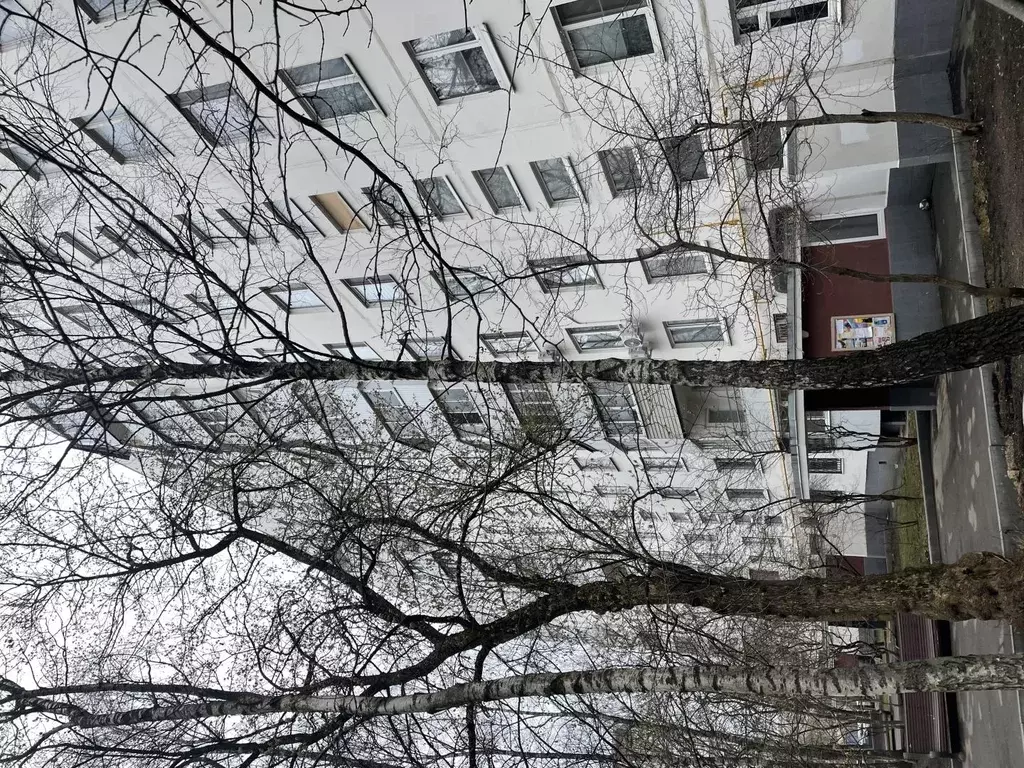 Продается 1-комнатная квартира - Фото 1