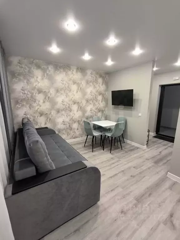 Студия Амурская область, Благовещенский район, с. Чигири ул. ... - Фото 2