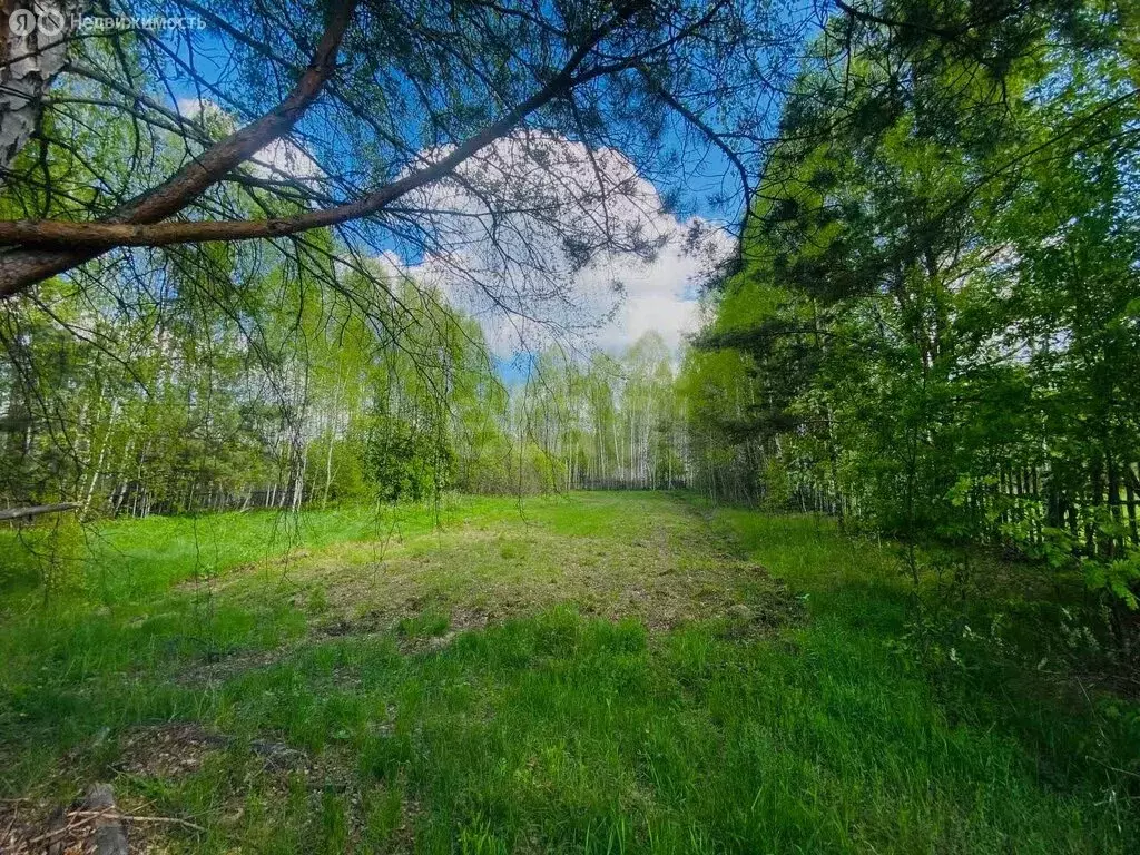 Участок в Миасский городской округ, посёлок Тыелга, Озёрная улица (15 ... - Фото 2