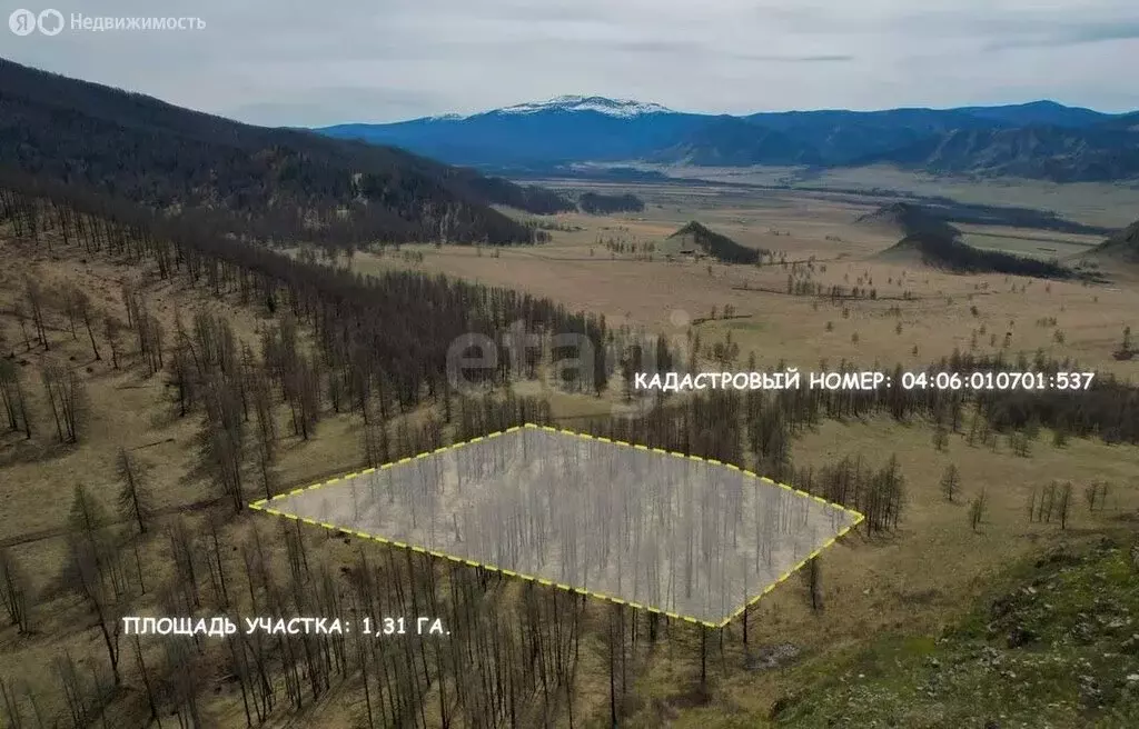 Участок в Онгудайский район, село Ело (130.8 м) - Фото 0