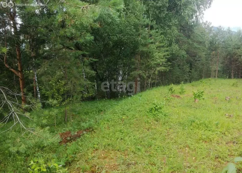 Дом в село Элекмонар, Алтайская улица (16 м) - Фото 1