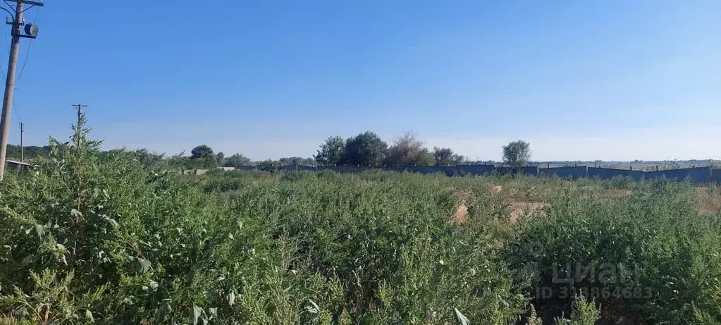 Участок в Волгоградская область, Среднеахтубинский район, ... - Фото 0