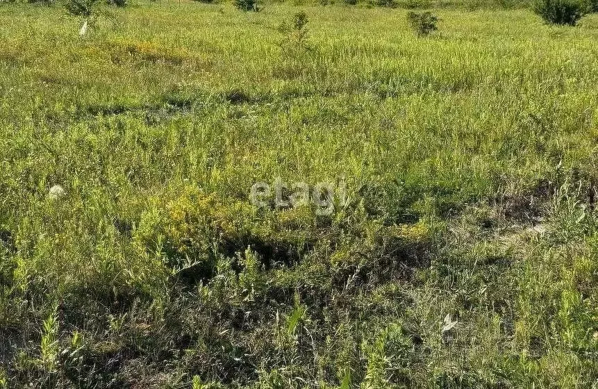 Участок в Краснодарский край, Новороссийск городской округ, ... - Фото 1