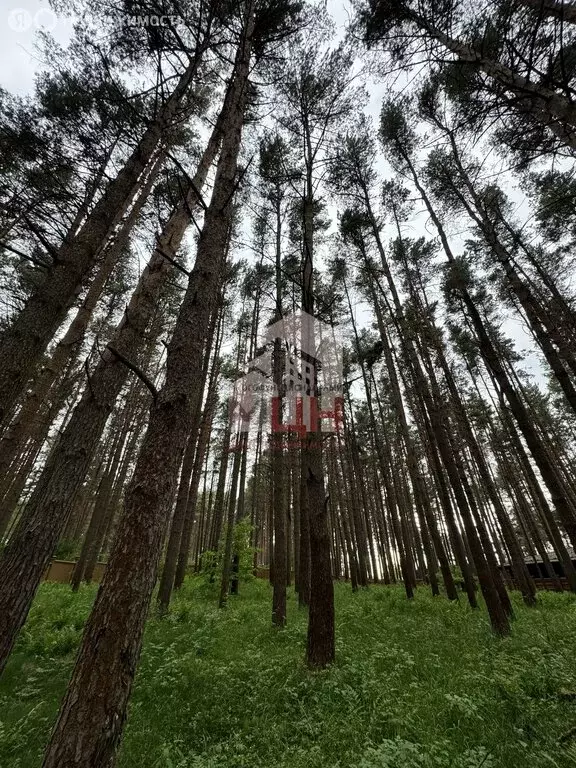 Участок в Тверская область, Конаковский муниципальный округ, деревня ... - Фото 1