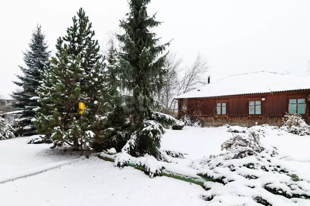 Помещение свободного назначения в Курганская область, Кетовский ... - Фото 1