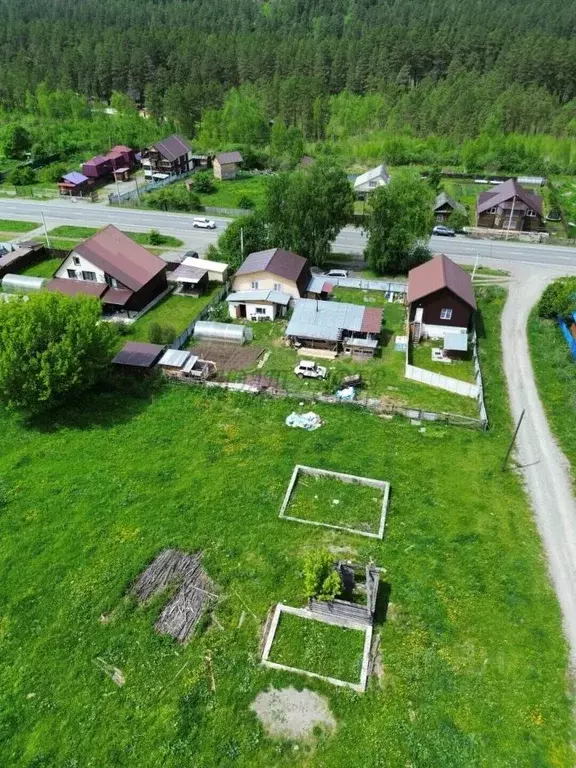 Участок в Алтай, Майминский район, Усть-Мунинское с/пос, пос. Барангол ... - Фото 1