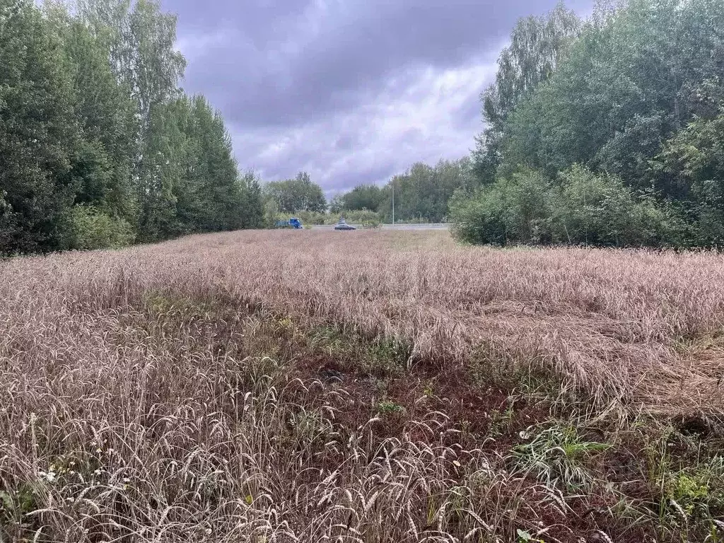 Участок в Тюменская область, Тюмень Радужная ул. (25.4 сот.) - Фото 1