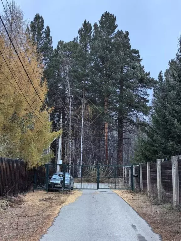 Участок в Иркутская область, Иркутский муниципальный округ, ... - Фото 1