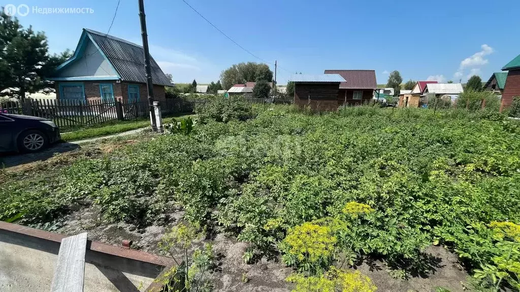 Участок в Искитимский район, Чернореченский сельсовет, садовое ... - Фото 0