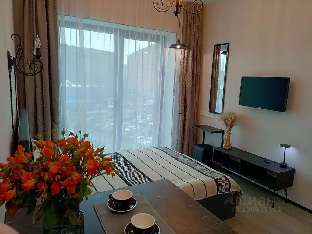 Студия Санкт-Петербург наб. Макарова, 58 (22.0 м) - Фото 1