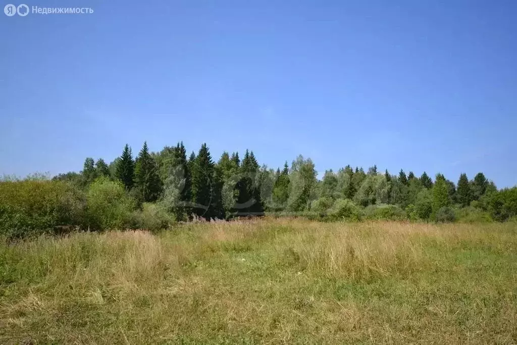 Участок в Свердловская область, Тугулымский муниципальный округ, село ... - Фото 1