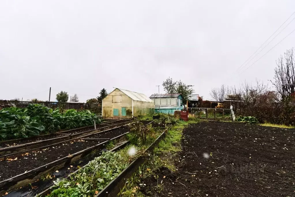 Дом в Томская область, Томск пос. Светлый, Рябинка садовое ... - Фото 1