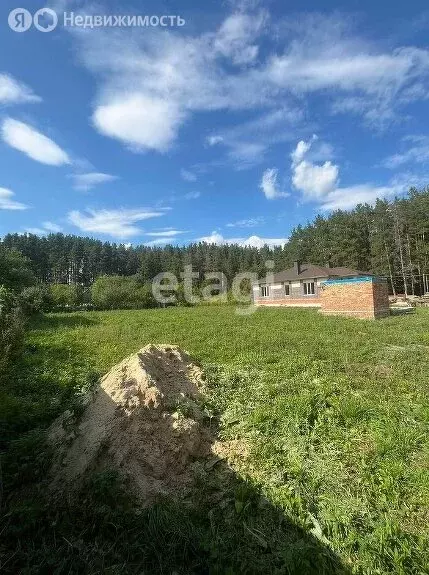 Участок в Бессоновский район, село Сосновка (6.1 м) - Фото 1