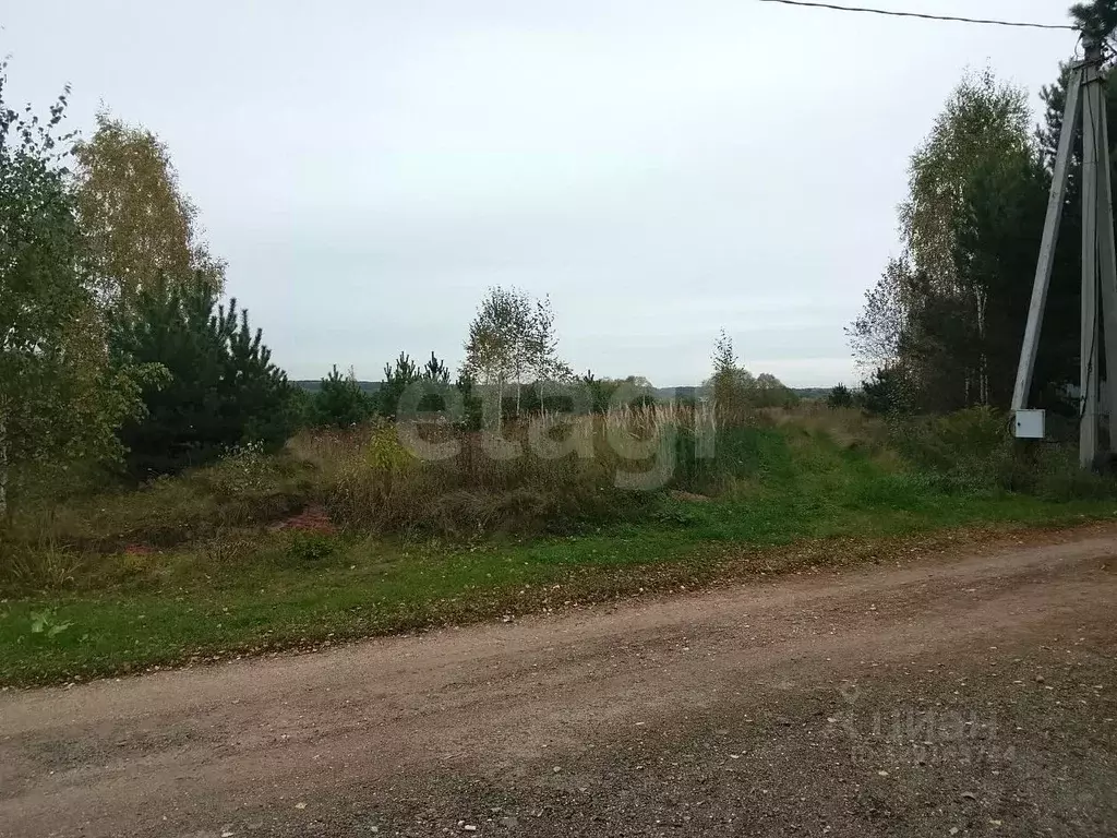 Участок в Калужская область, Дзержинский муниципальный округ, Дворцы ... - Фото 1