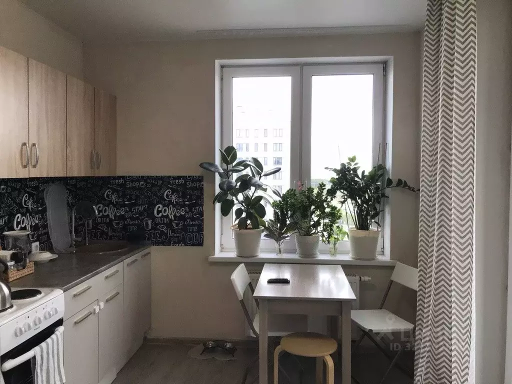 2-к кв. Свердловская область, Екатеринбург ул. Лучистая, 4 (55.0 м) - Фото 2