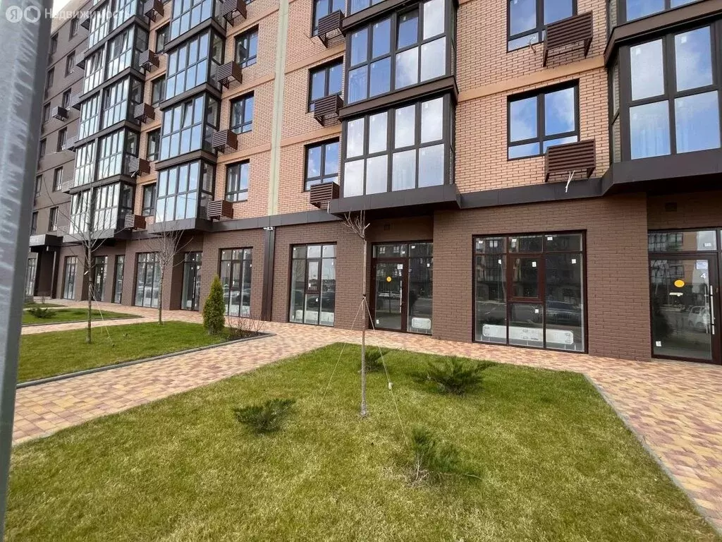 Помещение свободного назначения (48.7 м) - Фото 1