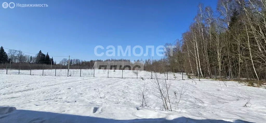Участок в Московская область, Рузский муниципальный округ, территория ... - Фото 2