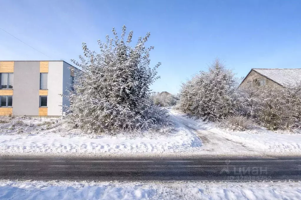 Участок в Калининградская область, Калининград пос. Лермонтовский, ул. ... - Фото 1