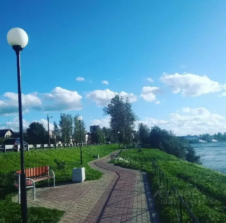 Участок в Ленинградская область, Отрадное Кировский район, ... - Фото 2