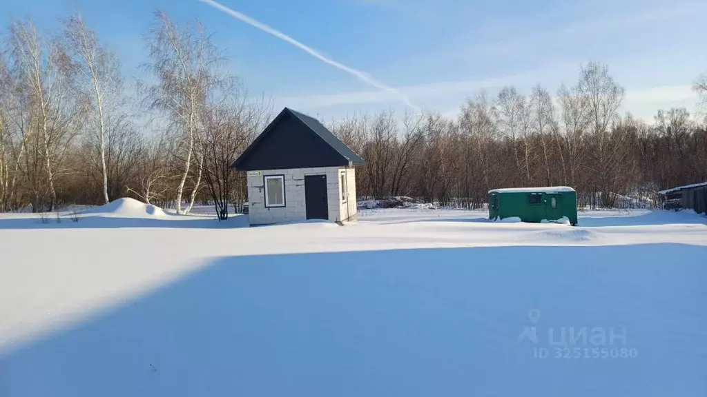 Участок в Алтайский край, Барнаул городской округ, пос. Бельмесево ... - Фото 2