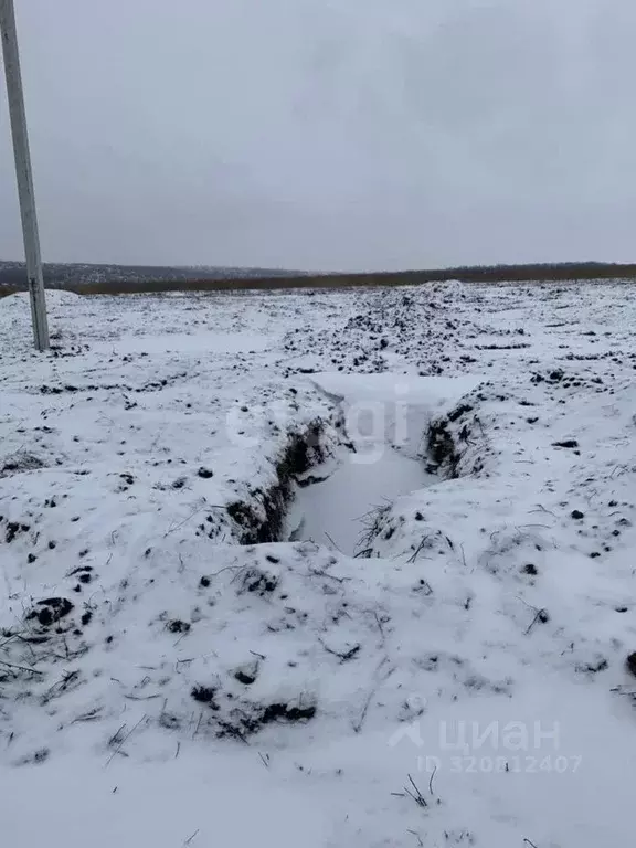 Участок в Белгородская область, Белгородский район, Головинское с/пос, ... - Фото 1