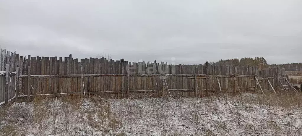 Участок в Курганская область, Кетовский муниципальный округ, с. ... - Фото 1