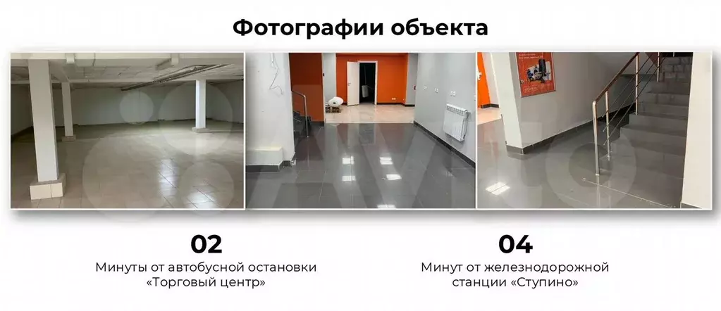 Подвал Свободного назначения, 920 м - Фото 1